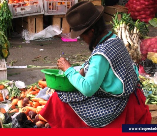 Gobernanza y gobernabilidad en la prefectura
