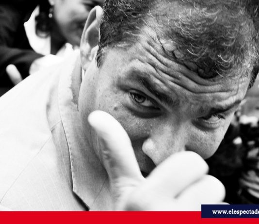 Nebot: Correa no es un muerto político