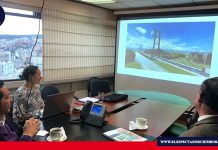 Propuestas para el nuevo puente “Salsipuedes”