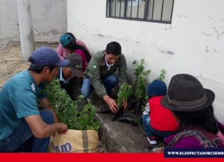 Plantas nativas para Riobamba
