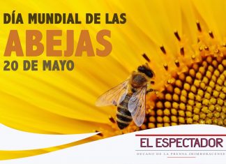 Día mundial de las abejas