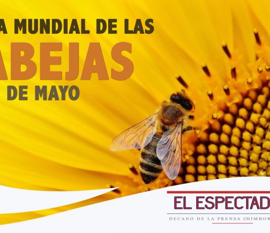 Día mundial de las abejas
