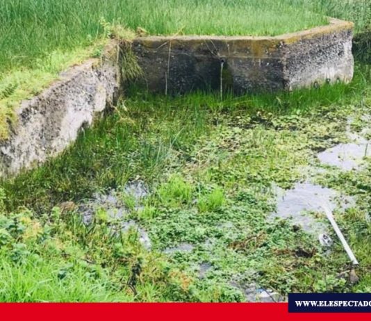 Daños ambientales por relleno de Humedales