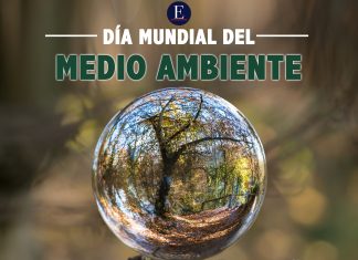 Día Mundial del Ambiente