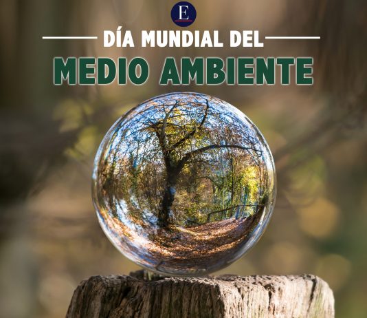 Día Mundial del Ambiente