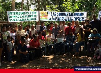 Denuncian transgénicos en el Ecuador