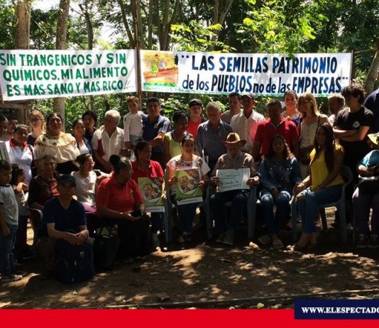 Denuncian transgénicos en el Ecuador