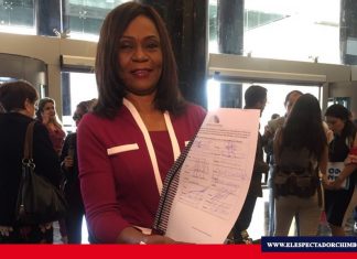 Ministra de Salud podría someterse a juicio político