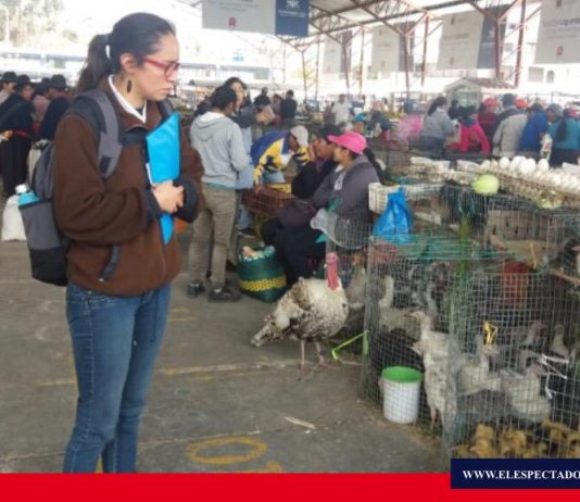 Control de venta de animales silvestres
