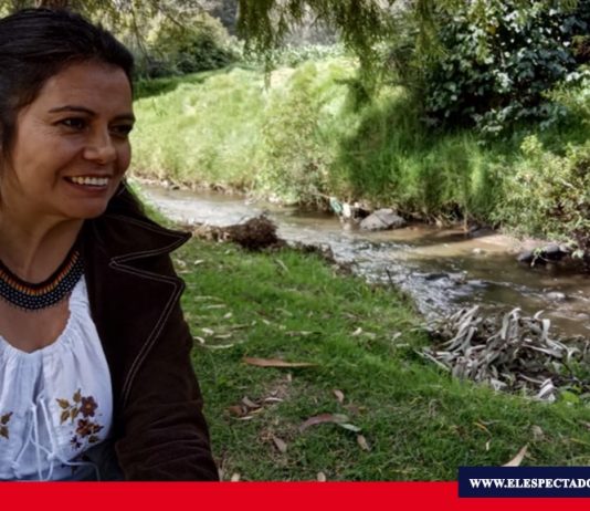Lucy Novillo: La política con rostro de mujer