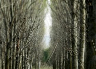 Invierno