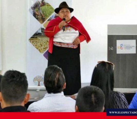 Rol de las mujeres en la política