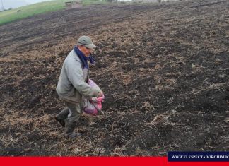MAG brinda asistencia técnica para la renovación de pastizales