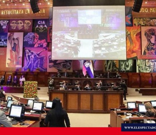 Debate legislativo sobre aborto en Ecuador