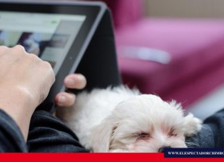 El auge de la enseñanza on-line