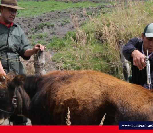 Se realiza campaña veterinaria gratuita en Chimborazo