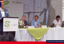 Galápagos libre de neumáticos usados