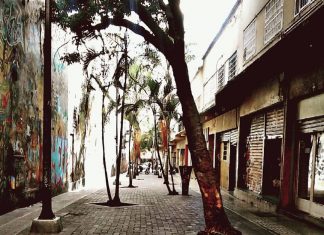 EL PAÍS Y LA NOSTALGIA