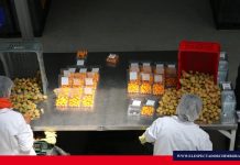 Ecuador enviará primer cargamento de uvilla a Estados Unidos