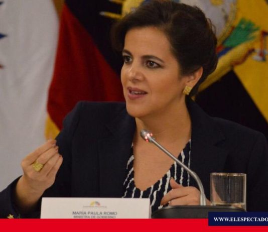 María Paula Romo compareció frente a Comisión de Fiscalización