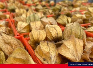 Ecuador será socio estratégico de la mayor feria de frutas y hortalizas del mundo