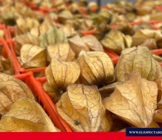 Ecuador será socio estratégico de la mayor feria de frutas y hortalizas del mundo