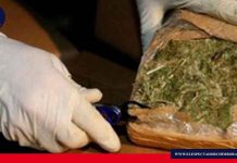 Fiscalía determinó responsabilidad a tres ciudadanos que tenían en su poder marihuana