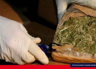 Fiscalía determinó responsabilidad a tres ciudadanos que tenían en su poder marihuana