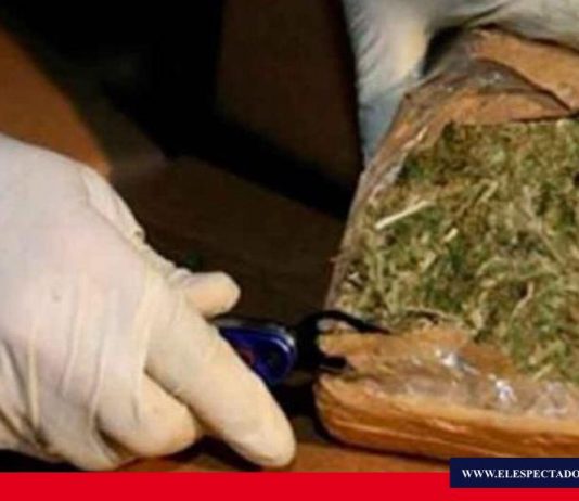 Fiscalía determinó responsabilidad a tres ciudadanos que tenían en su poder marihuana