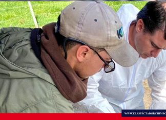 Programa de mejoramiento genético para ganado en Ecuador