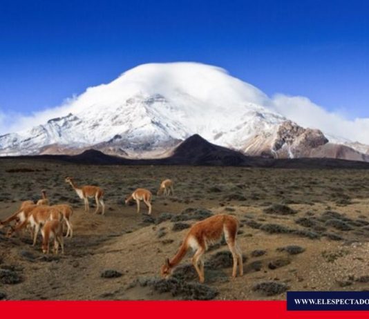 Se declara el 29 de Mayo como Día Nacional de Conservación y Reconocimiento del Chimborazo