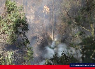 Incendio forestal consumió cerca de 20 cuadras