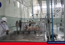 Se efectúan trabajos de mantenimiento en el Camal Municipal