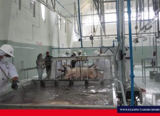 Se efectúan trabajos de mantenimiento en el Camal Municipal