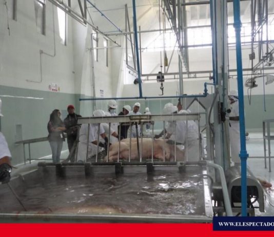 Se efectúan trabajos de mantenimiento en el Camal Municipal