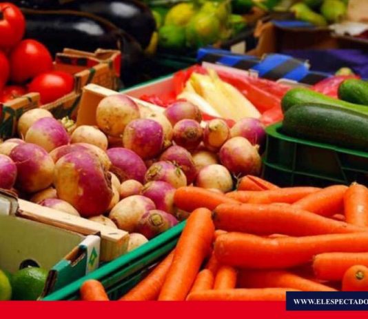 El abastecimiento de productos agropecuarios está garantizado en Ecuador