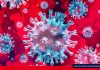 Guerra interna contra el coronavirus