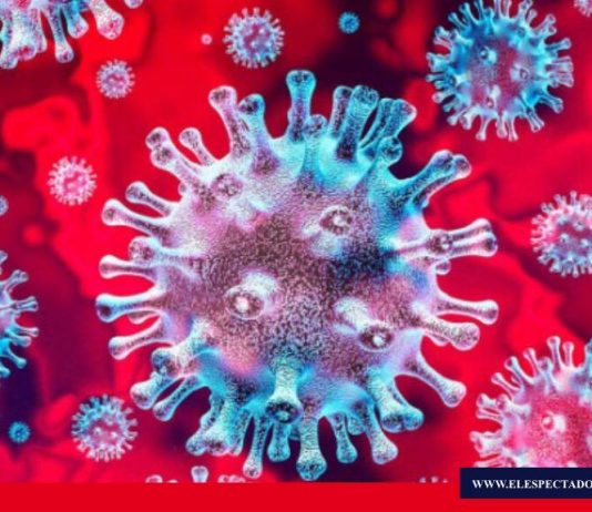 Guerra interna contra el coronavirus