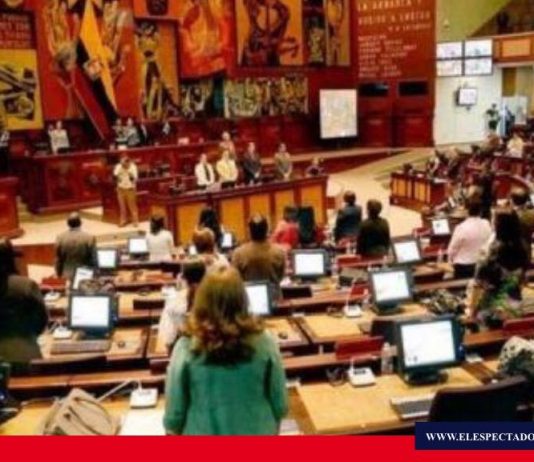 Reducción de salario mensual de los asambleístas se reducirá 50%