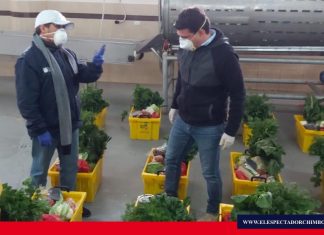 Productores de Chimborazo garantizan alimentos para abastecer mercados