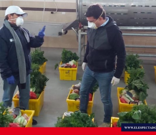 Productores de Chimborazo garantizan alimentos para abastecer mercados