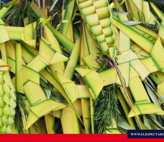 Domingo de Ramos en casa