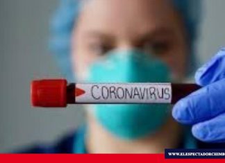 OMS reafirma origen animal del Covid19