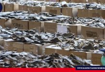 Aletas de Tiburón decomisadas en China serían ecuatorianas