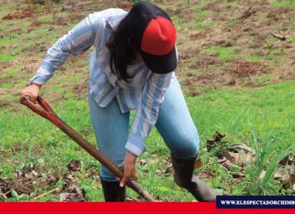 Impacto del covid19 en las agriculturas familiares campesinas