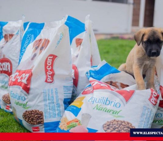 Empresa privada dona alimentos a CRIAR