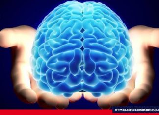 Día mundial del cerebro