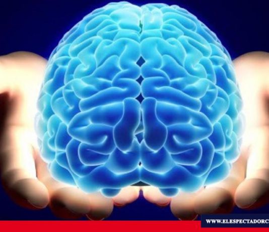Día mundial del cerebro