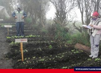 Estudiante aportó con su proyecto de grado a economía familiar
