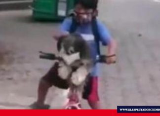 Anthony, un acto de amor que se hace viral